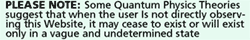 a web bumper sticker that says please note: some quantum physics theories suggest that when the user is not directly observing this website, it may cease to exist or will exist only in a vague and undetermined state